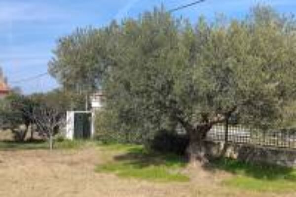 02d8012e1db1554c5c16460f67368f3a_7_S