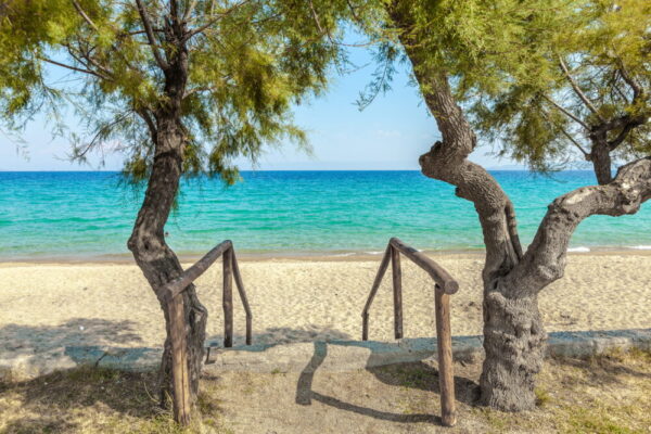 10155_Ierissos-Beach-Trees