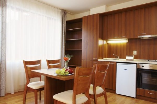 1024x_1491572405-bugarska-bansko-skijanje-zimovanje-hotel-vihren-8