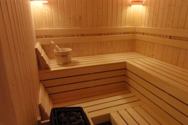 1024x_1492105393-bugarska-borovec-radina-hotel-19