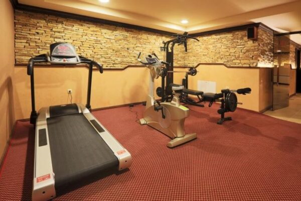 1024x_1492108880-bugarska-bansko-zimovanje-hotel-royal-spa-19