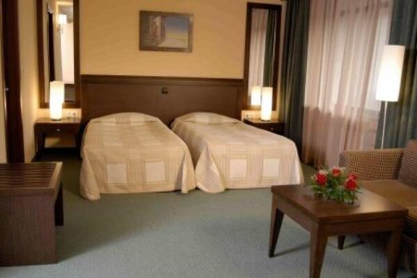 1024x_1502285296-LION BOROVEC ZIMA SKIJANJE ZIMOVANJE 04