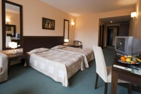 1024x_1502285296-LION BOROVEC ZIMA SKIJANJE ZIMOVANJE 05