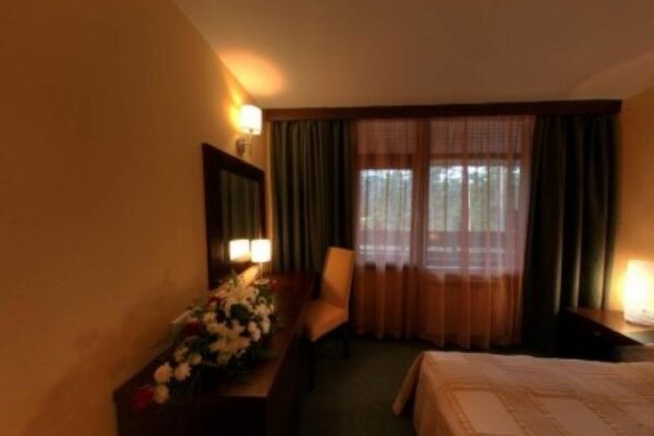 1024x_1502285297-LION BOROVEC ZIMA SKIJANJE ZIMOVANJE 20