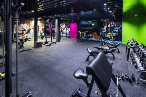 1024x_1537439608-Fitnes