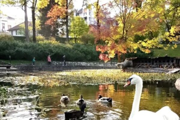 253172535_865564094132135_381140560763337996_n