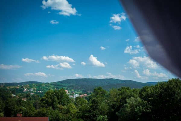 273343829_2468507489945884_5574987814169877108_n