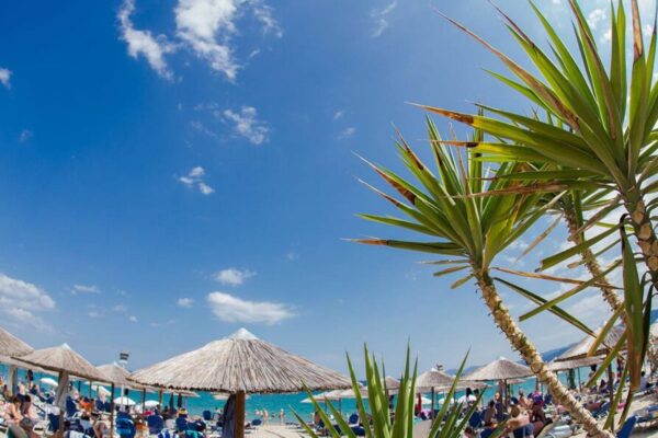 302133275_380583410943745_5284710685671641485_n