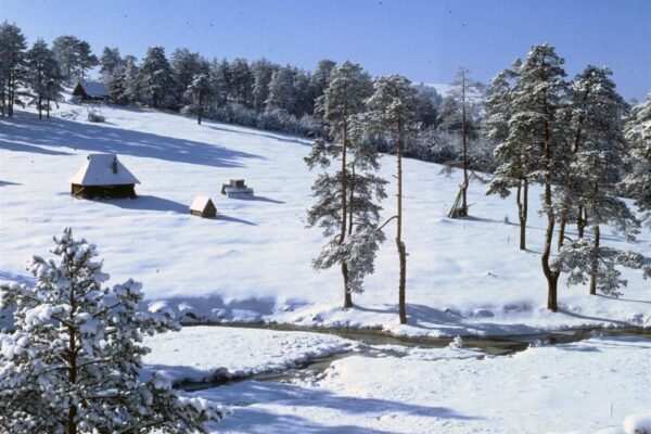 96bf01730661a618c5444fc770b00e59