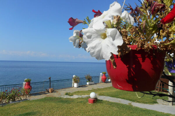 Vila-Alexiadis-Lutra-Kasandra-Grcka-Leto-006