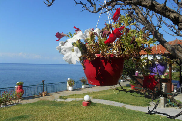 Vila-Alexiadis-Lutra-Kasandra-Grcka-Leto-018