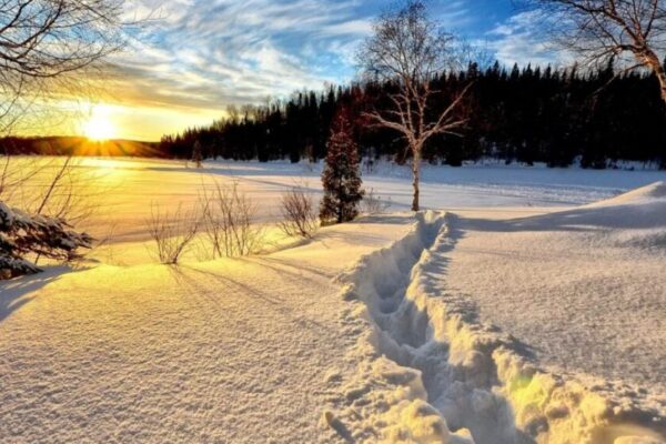 Clipboard01-20-1280x720