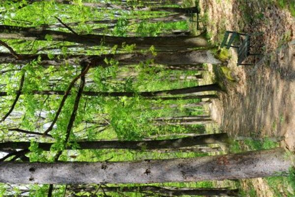 PRIRODA_17-2219543901242e45f5dbd5e0b81de4d7