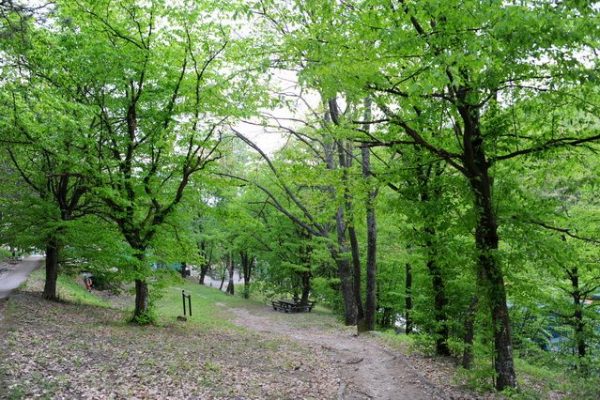 PRIRODA_22-5b7412042c0a89a068ac26fe73b7b6b2