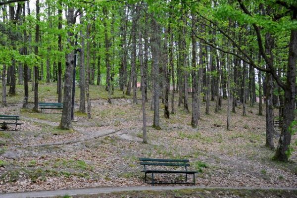 PRIRODA_23-c9312c58f421aa2109308b8ec0f1dfed