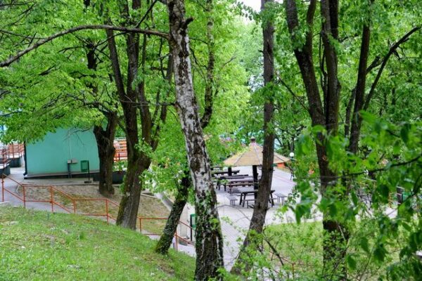 PRIRODA_24-0237c5fcab6e35961a05b21b7e7592f7