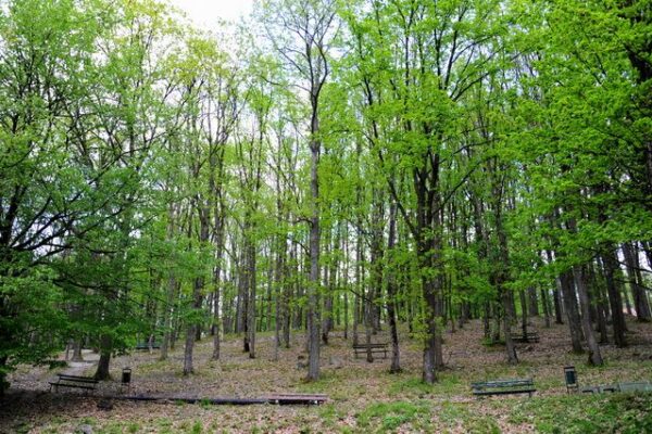 PRIRODA_25-db3084883aa0fd76083aa1fa47813318