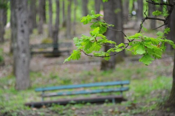 PRIRODA_26-efda895906d9d72d853784948169a1af