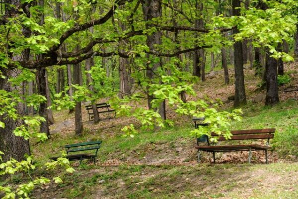 PRIRODA_27-e8649f41af123218c7a2b09fcc026ac1