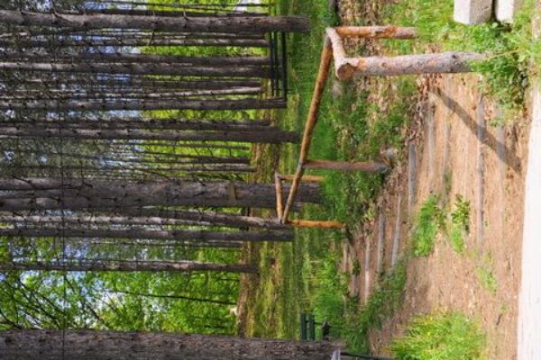 PRIRODA_28-7451361db65f03b2ce8a46cabf668daa