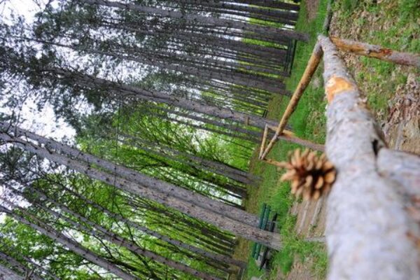 PRIRODA_29-b57917778bc301dcd23db049b90263ce