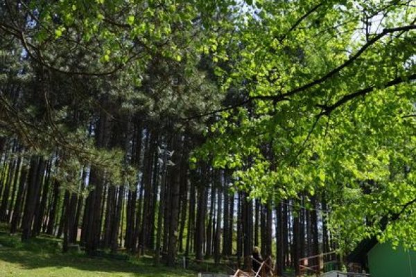 PRIRODA_5-ad1a19f4b184572ab267f4d7b4167f17