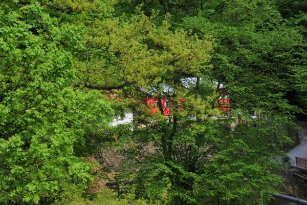 PRIRODA_9-ffa65b2b6a47d9424d7b4293303c6d0e