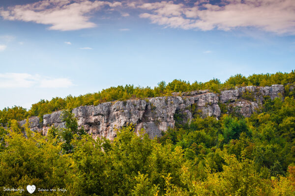 Prikaz-sokobanjske-prirode