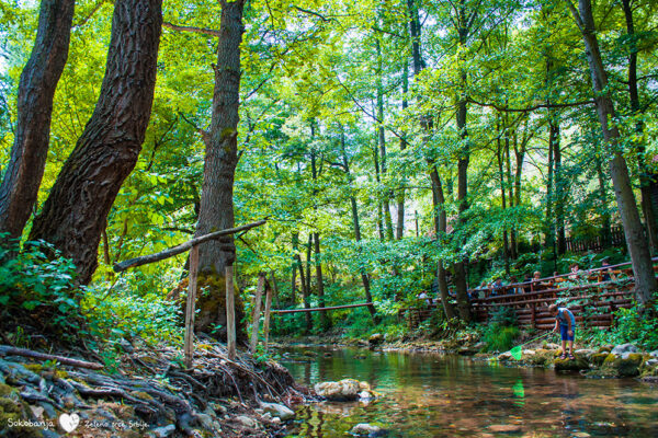 Put-ka-izletistu-Lepterija