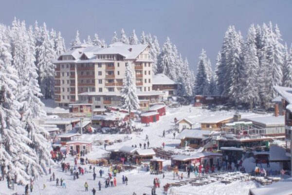 SetWidth1200-pamp433