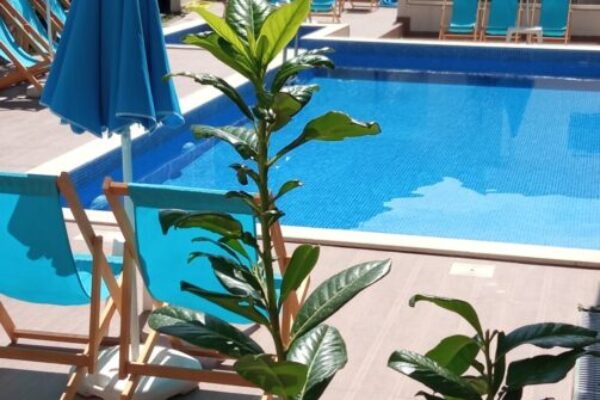 Studio-Lara-Lux-Crna-Gora-Canj-23