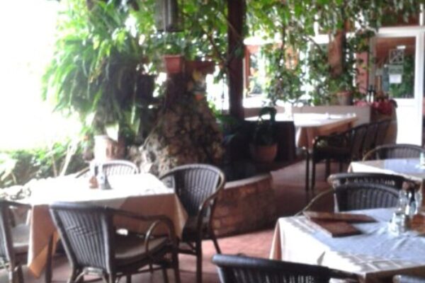 apartmani-pod-lozom-petrovac-8-scaled