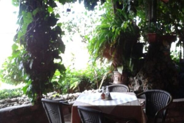 apartmani-pod-lozom-petrovac-9-scaled