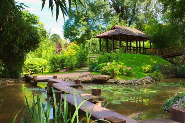 botanicka_basta_beograd_aps_862775181