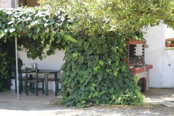 posidi-studios-mayak-tours-kasandra-19