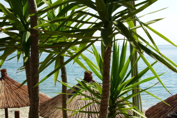 potos-gradska plaza 3