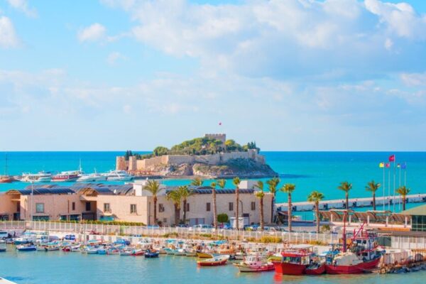 thumbnail_image_5e1f35f86628b