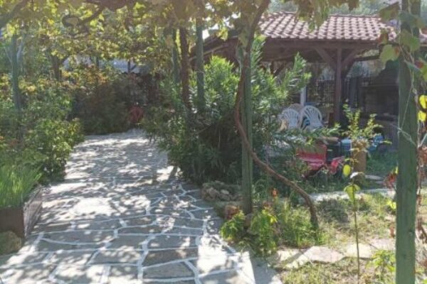 vana-studios-tasos-9