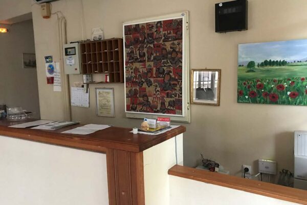 vila-elektra-edipsos-5411-5