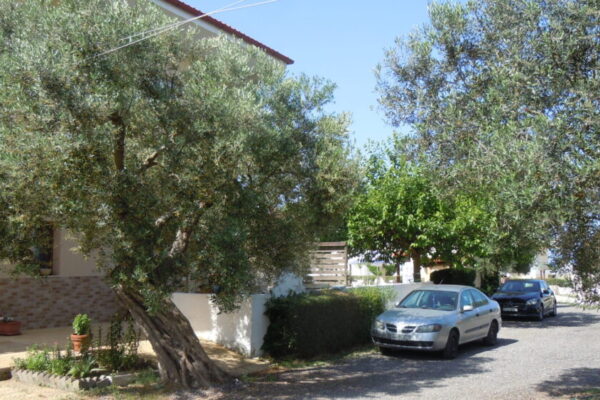 Vila-Fotis1-SkalaFurka-Kasandra-Grcka-Leto-417