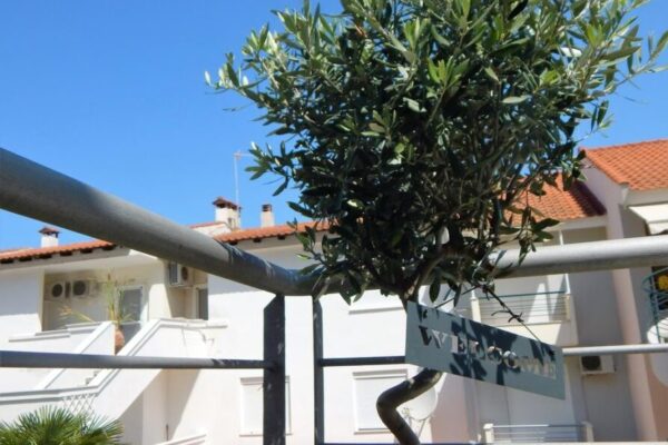 vila-kehagias-omniturs-letovanje-grcka-halkidiki-siviri-07